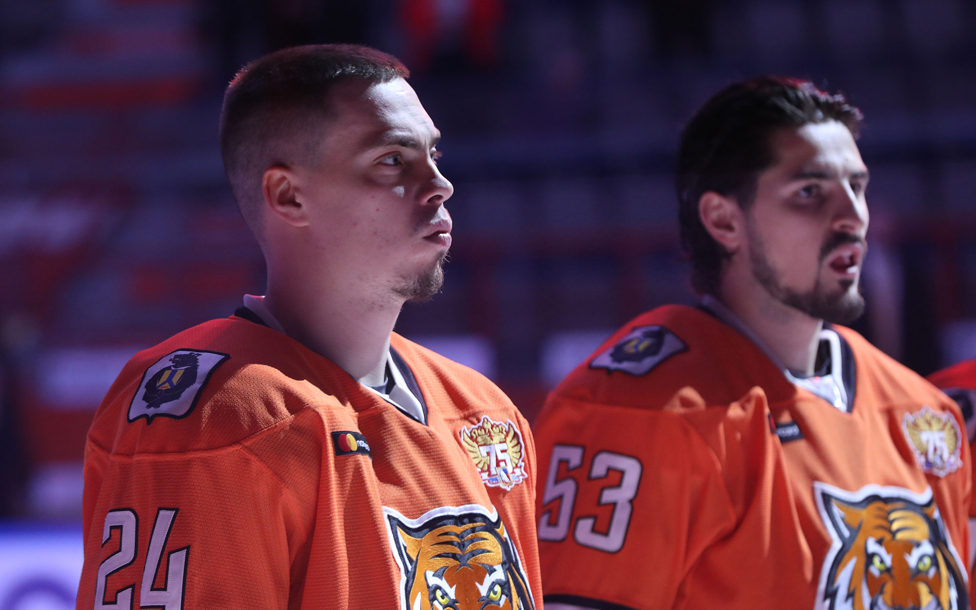 Дорожная карта