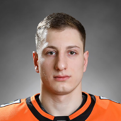 Колесников Сергей – Состав – Амур